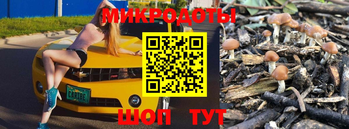 Галлюциногенные грибы Psilocybine cubensis Курчалой