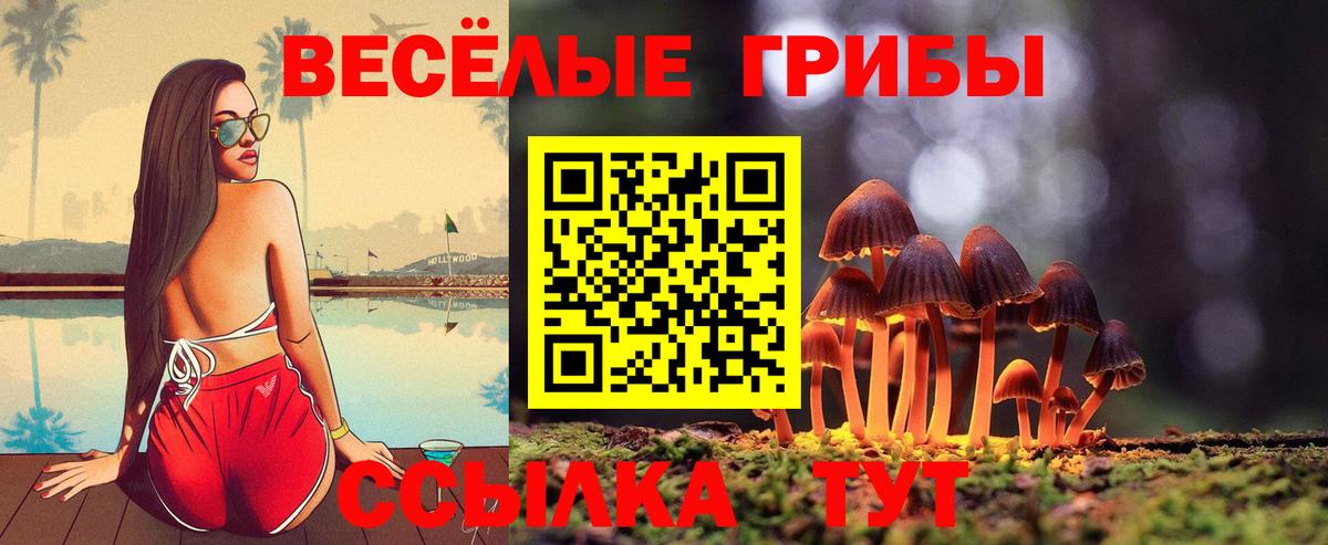 Курчалой  Галлюциногенные грибы Magic Shrooms  Псилоцибиновые грибы мухоморы  Вход с VPN 